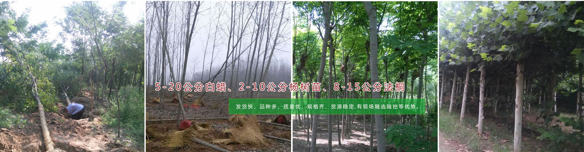 響應(yīng)式網(wǎng)站建設(shè)