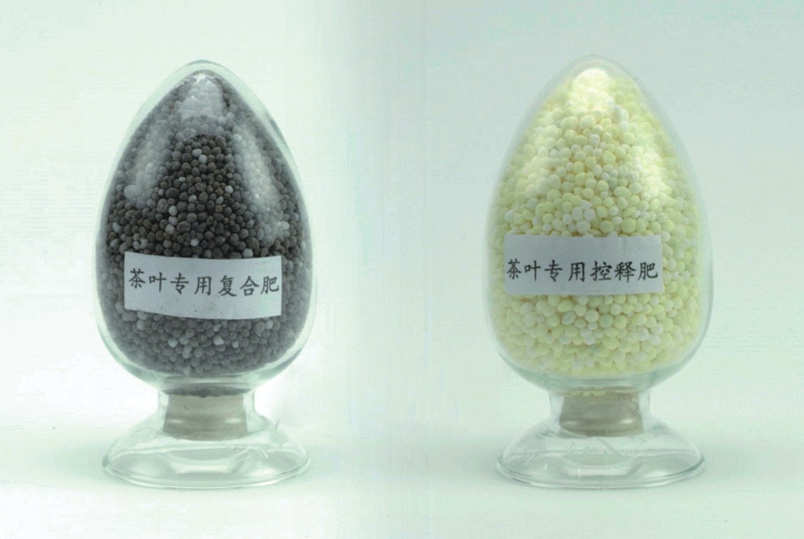 響應(yīng)式網(wǎng)站建設(shè)