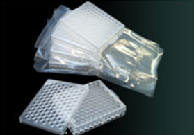 深圳集團(tuán)網(wǎng)站建設(shè)